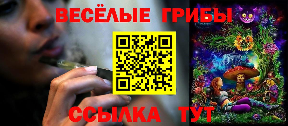 Псилоцибиновые грибы Cubensis  Вход с VPN  Зеленогорск 